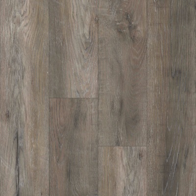 Canyon Oak