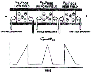 electrophoresis cathode charge