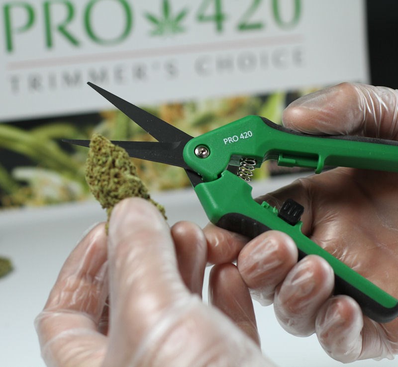 PRO 420 Scissors- Spring Loaded- Professional Manicure Scissors for Cannabis - The finest precision trimming experience.