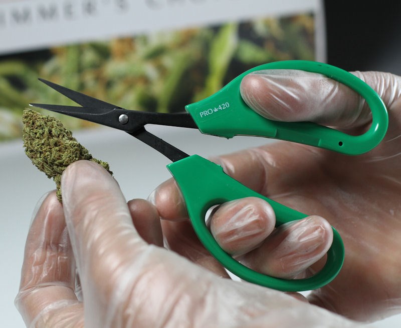 PRO 420 Classic Scissors-Professional grade scissors for trimming plants-Bud Trimming Bonsai Scissors