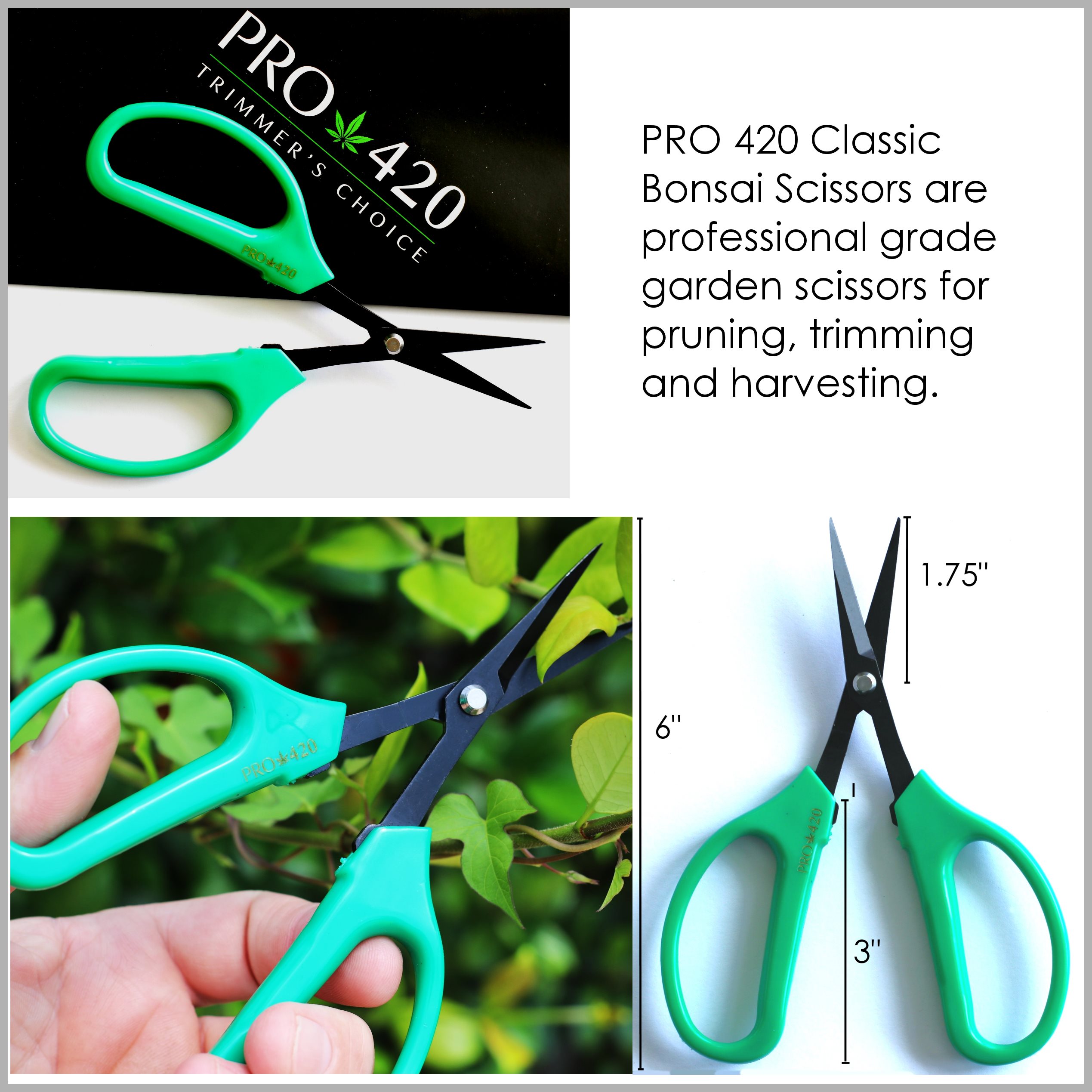 PRO 420 Scissors - 6 Pack of Classic Bonsai Professional Trimming Scissors for Cannabis - Classic Bonsai Scissors