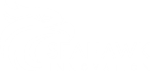 Seahawk Innovation