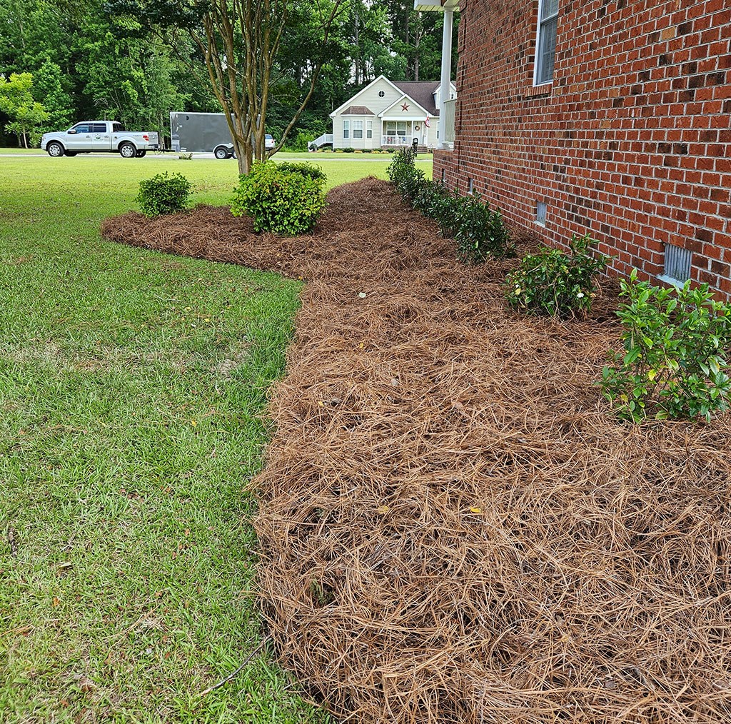 Pine Straw Installation