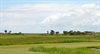 champ image 1099634