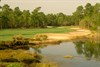 champ image 1457905