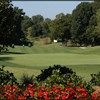 champ image 1745768