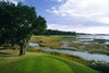 champ image 1832305
