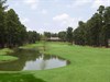 champ image 1246270