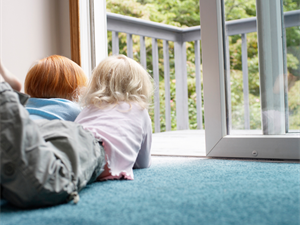 The Ultimate Carpet Guide