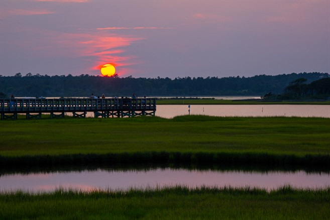 Palmetto Creek of the Carolinas